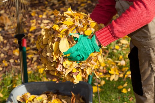 Choosing a professional furniture disposal service